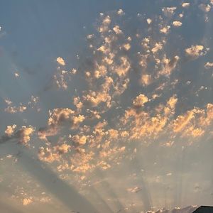 Meet your Posher, Sabrina